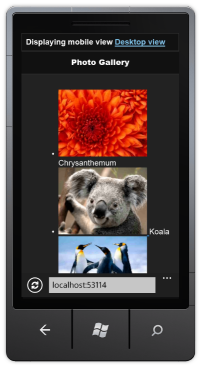 Photo Gallery Photo Gallery