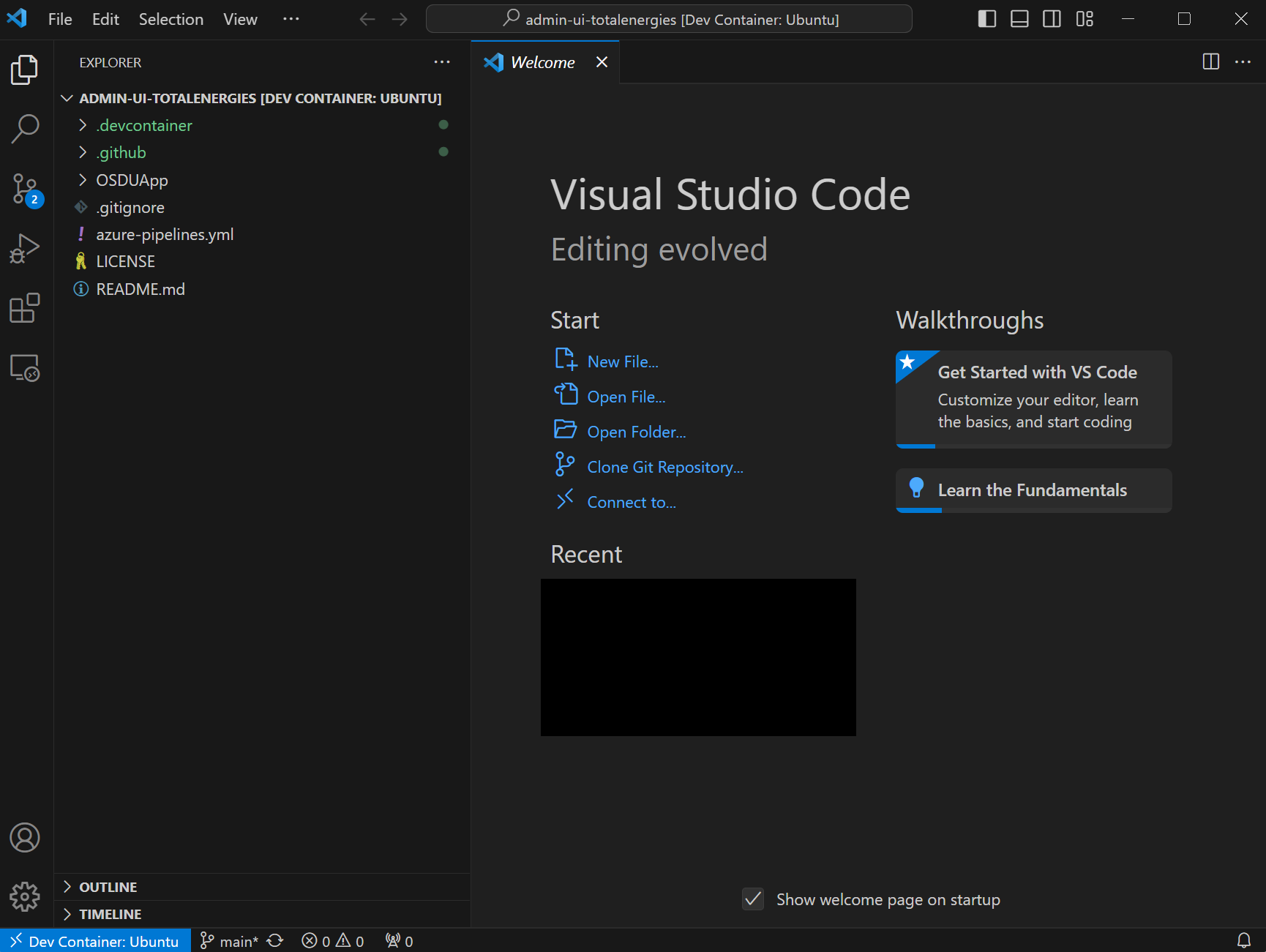 Screenshot that shows running devcontainer.