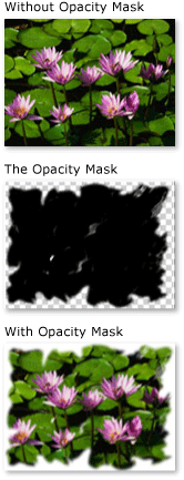 wcpsdk_graphicsmm_imageasopacitymask An object with an ImageBrush opacity mask