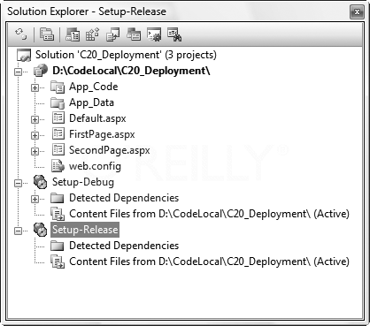 The Solution Explorer and the Web Setup projects