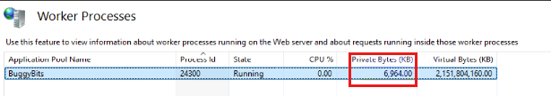 Screenshot of Worker Processes in which the Private Bytes (KB) column is highlighted.