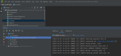 Captura de tela mostrando um exemplo de como executar um contêiner no PyCharm.