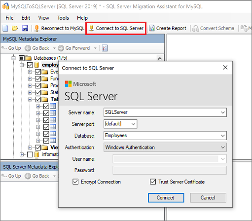 Captura de ecrã que mostra Ligar ao SQL Server.