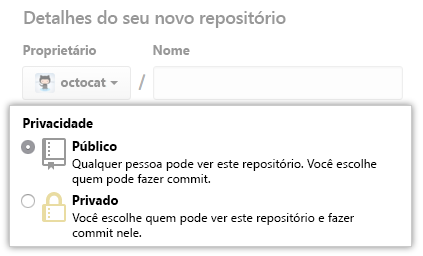 Captura de ecrã das novas opções públicas ou privadas do repositório.